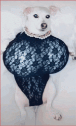 1701141497248.gif