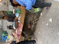IMG_4929.jpeg