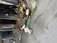 IMG_4927.jpeg