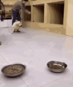 1701303156810.gif