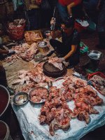 IMG_5077.jpeg