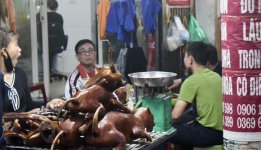 IMG_5083.jpeg