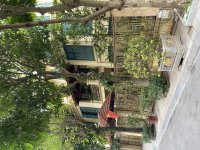 IMG_5047.jpeg