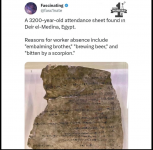 1701376411493.png