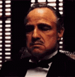 1701537374434.gif