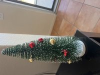 IMG_7492.jpeg