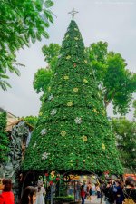 IMG_5925.jpeg