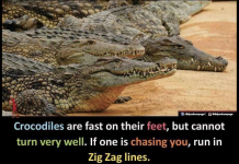 1702415024120.png