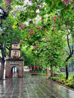 IMG_6229.jpeg