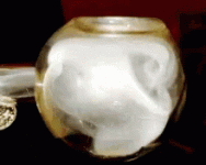 1702517622327.gif