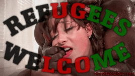 1702675709960.gif