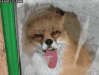 2CFEA29C-A1B9-4605-9D3E-EEB371574770.gif
