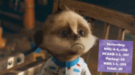 1703079796599.gif