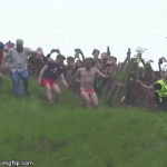 1703262014379.gif