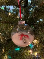 IMG_6977.jpeg