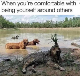 1703612163793.png