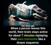 1703627191572.png