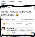 1703635961096.jpeg