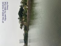 TC_00243.jpeg