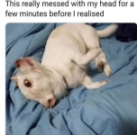 1703698393228.png
