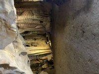 IMG_7242.jpeg