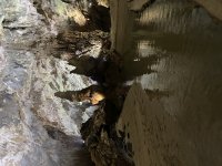IMG_7263.jpeg