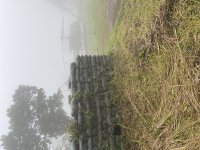 IMG_7419.jpeg