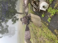 TC_00378.jpeg