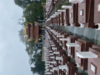 IMG_7372.jpeg