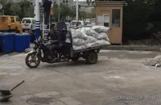 1704223441342.gif