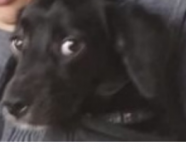 1704919193082.png