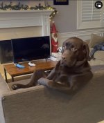 IMG_1870.jpeg