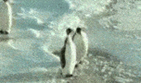 1705018644086.gif