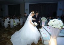 IMG_8248.jpeg