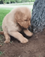 1705328722716.gif