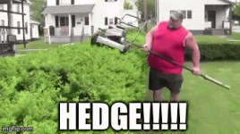 9C5284A8-1021-4F5C-9F7F-C37CD6ACB1D7.gif