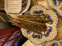 IMG_8900.jpeg
