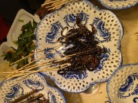 IMG_8897.jpeg