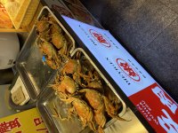 IMG_8870.jpeg