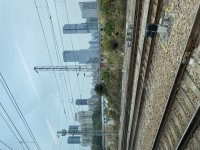 IMG_9033.jpeg
