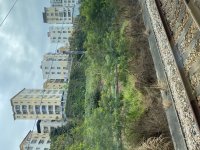 IMG_9036.jpeg