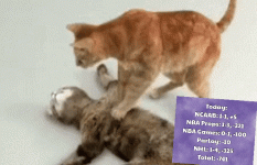 1706250644074.gif