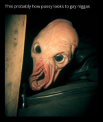 1706403210671.png