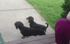 1706886034303.gif