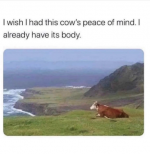 1706978520695.png