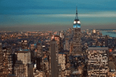 1707149779693.gif