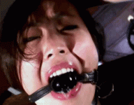 e51b78581f2013944247bd84109d76fd.gif