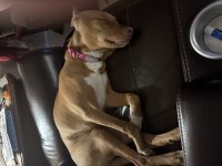 IMG_1972.jpeg