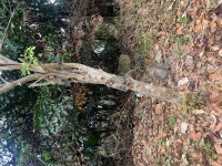 IMG_9108.jpeg