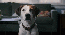 1707412343914.gif